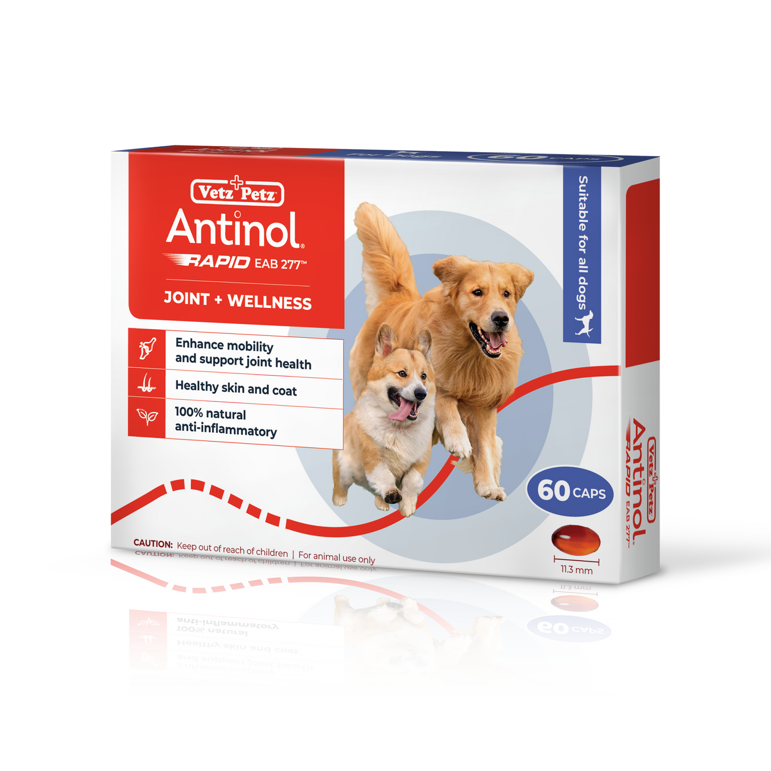 Antinol for dogs hot sale